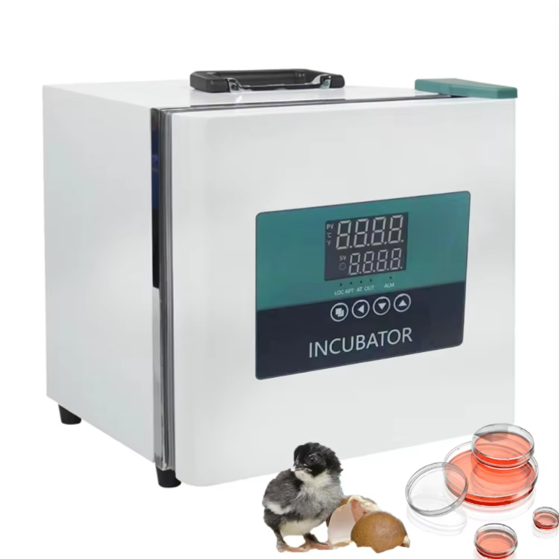 Medical Lab Microbiology - Tragbarer Labor-Inkubator für Fahrzeuge, 9L, für