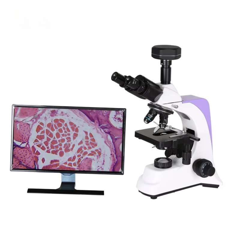 Medical Lab Microscope - 2026 Medizinisches Labor-Digitalmikroskop für Wissenschaftler und