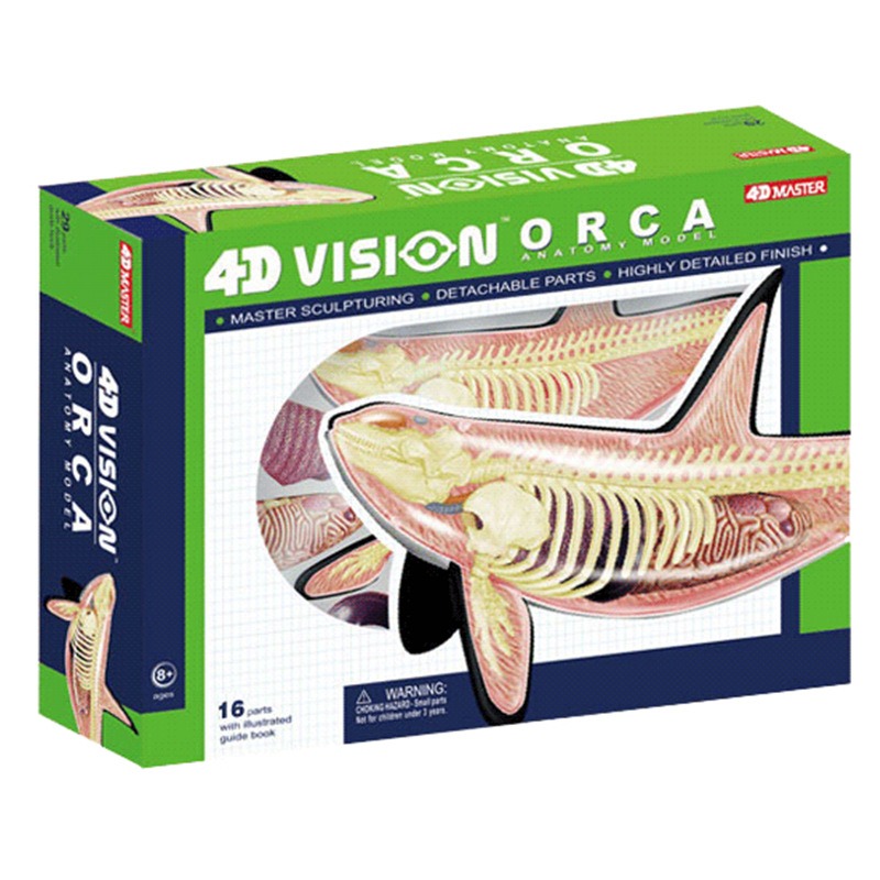 Medical Lab Technology - 4D Vision Orca Wal Skelett Anatomie