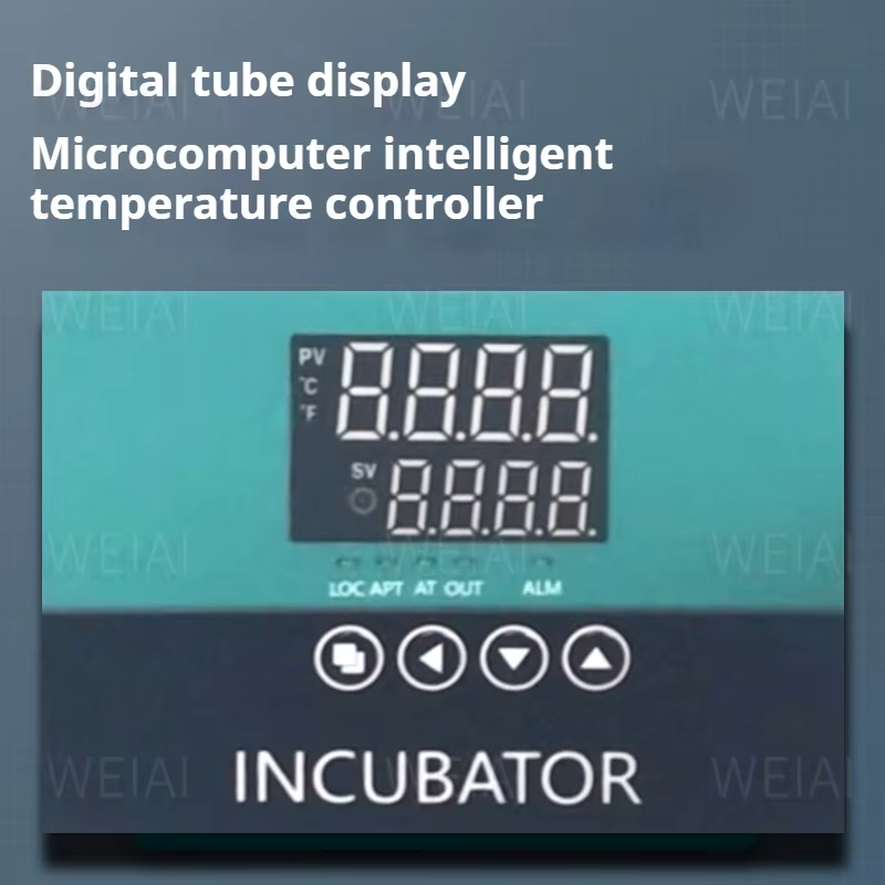 Tragbarer Labor-Inkubator für  – Medical Lab Microbiology Bewertung und Preis