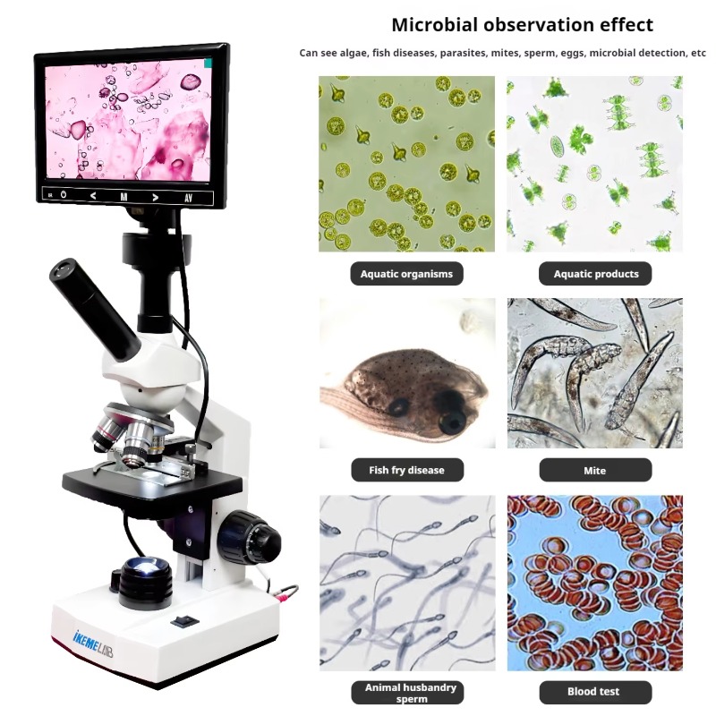 HD-Bildschirm Digitalmikroskop – Medical Lab Microscope Bewertung und Preis