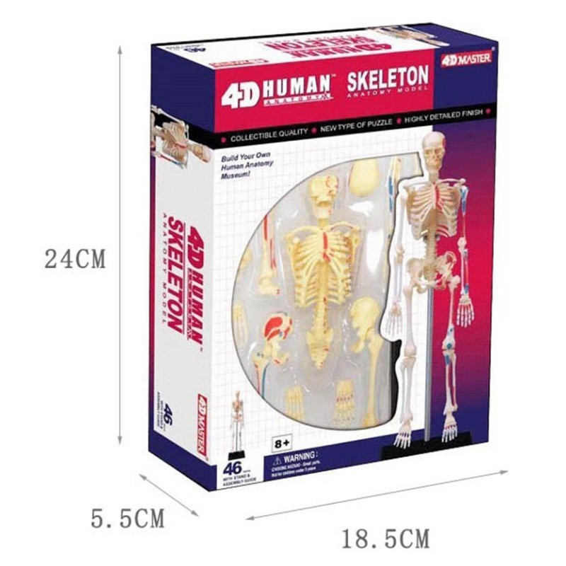 4d Menschliches Vollskelett An – Medical Lab Technology Bewertung und Preis