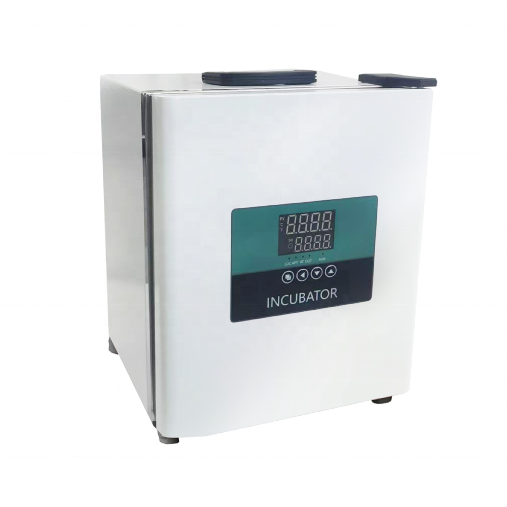 WEIAI Labor Tragbarer Inkubato – Medical Lab Microbiology Bewertung und Preis
