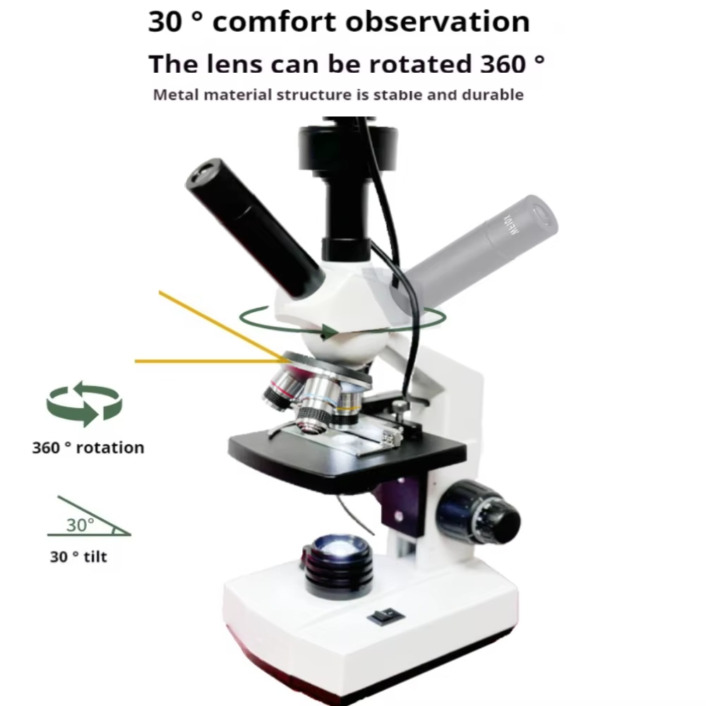 Top Verkauf HD Bildschirm Digi – Medical Lab Microscope Bewertung und Preis