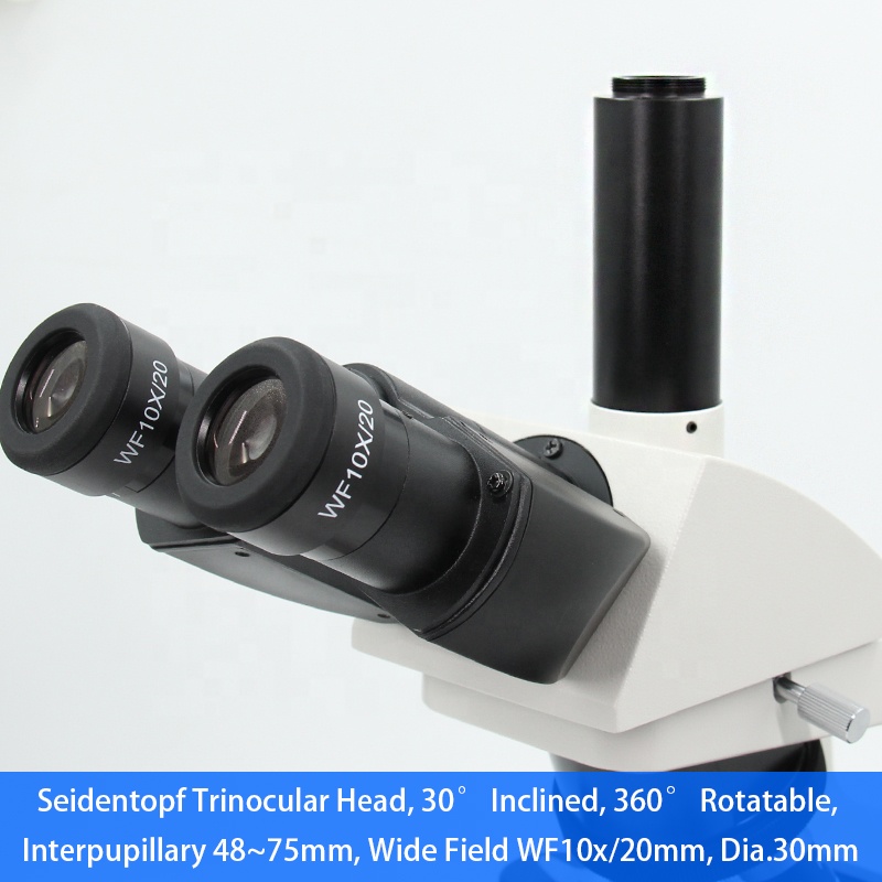 40x-1000x Infinity Optical Sys – Medical Lab Microscope Bewertung und Preis