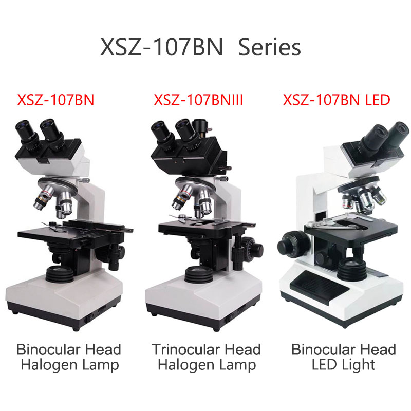 Xsz-107bn Elektronenlabor-Verb – Medical Lab Microscope Bewertung und Preis