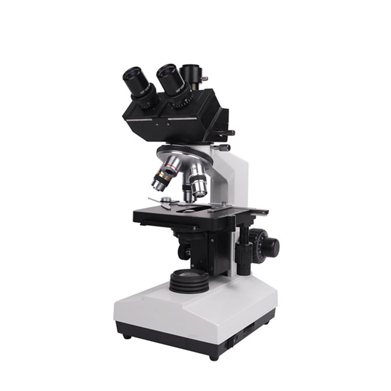 Xsz-107bn Elektronenlabor-Verb – Medical Lab Microscope Bewertung und Preis