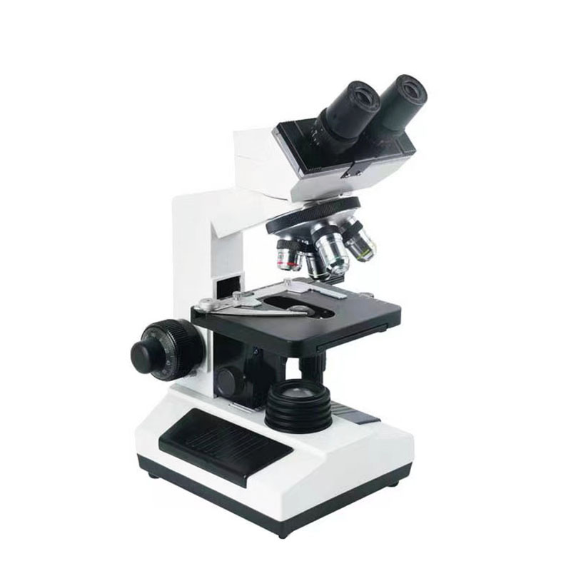 Xsz-107bn Elektronenlabor-Verb – Medical Lab Microscope Bewertung und Preis