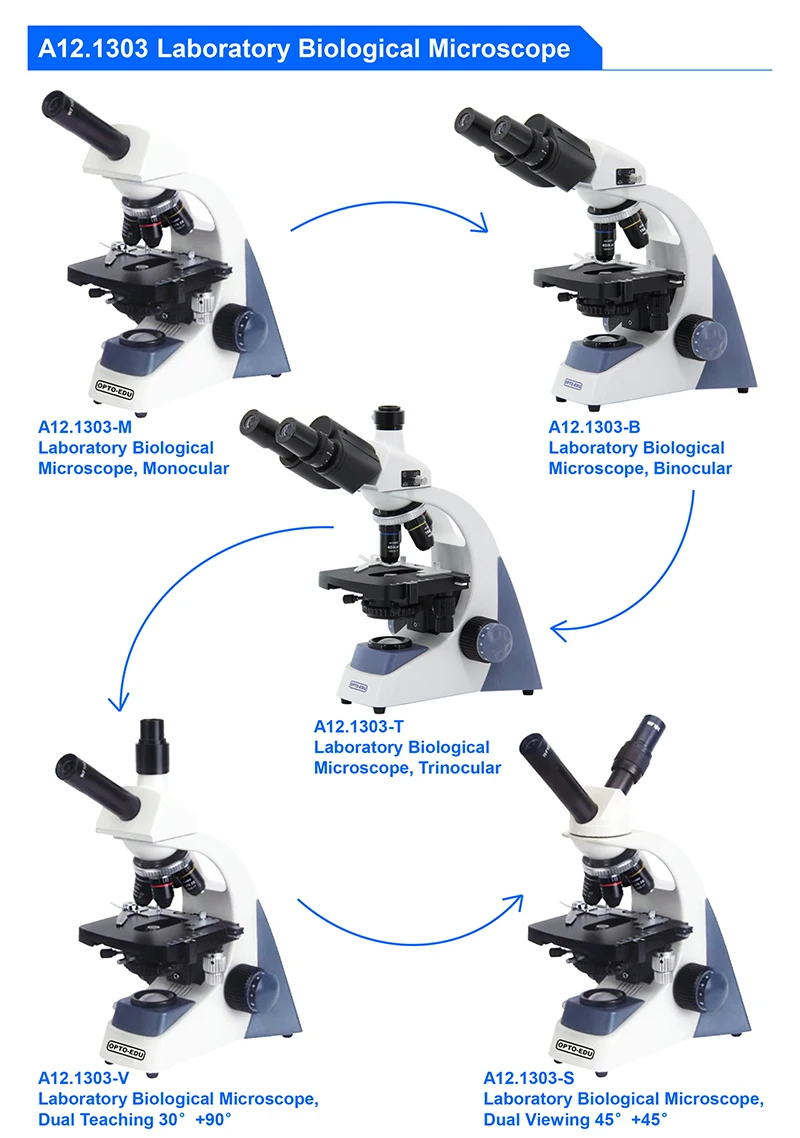OPTO-EDU A12.1303-B 40x~1000x  – Medical Lab Microscope Bewertung und Preis
