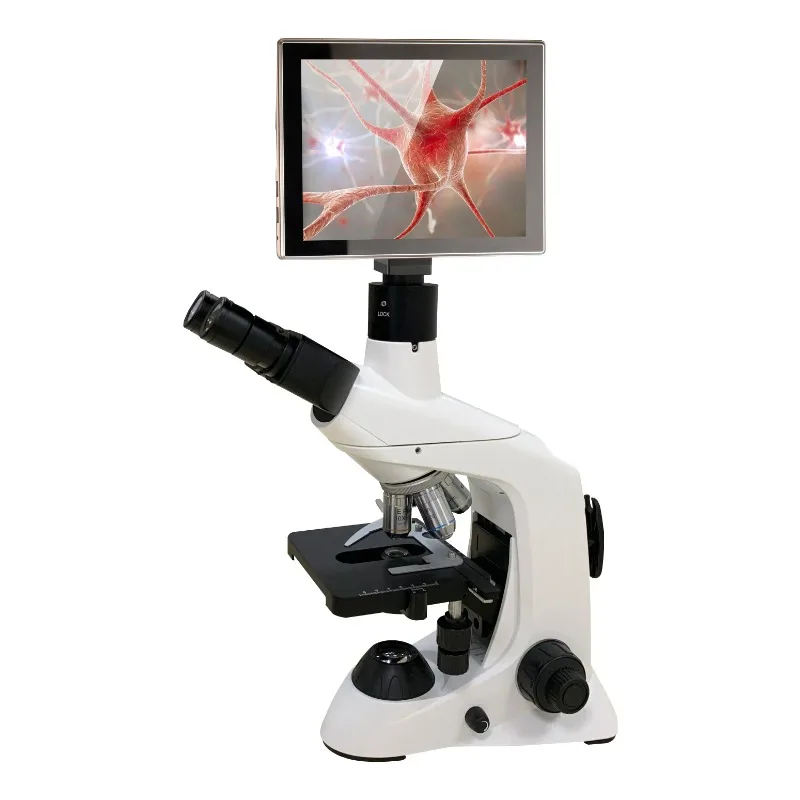 2026 Neues Edelstahl-Medizinla – Medical Lab Microscope Bewertung und Preis