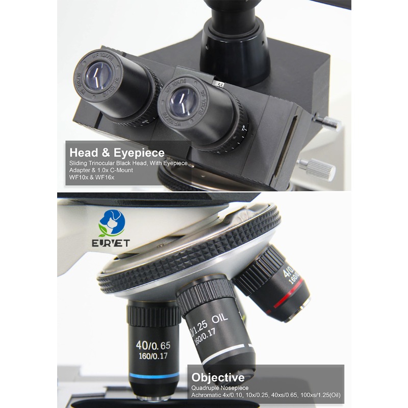 2026 Medizinisches Labor-Digit – Medical Lab Microscope Bewertung und Preis