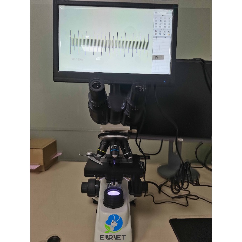 2026 Medizinisches Labor-Digit – Medical Lab Microscope Bewertung und Preis