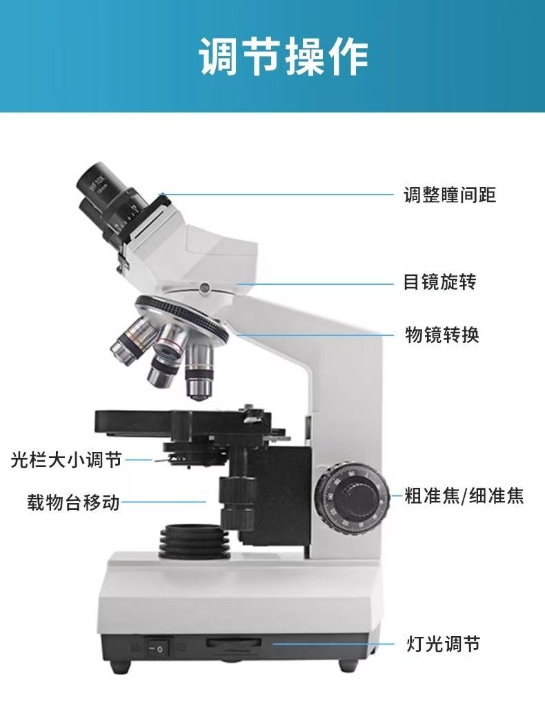 Optisches Binokularmikroskop f – Medical Lab Microscope Bewertung und Preis