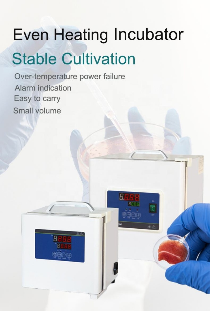 WEIAI Labor-Inkubator Mikrobio – Medical Lab Microbiology Bewertung und Preis