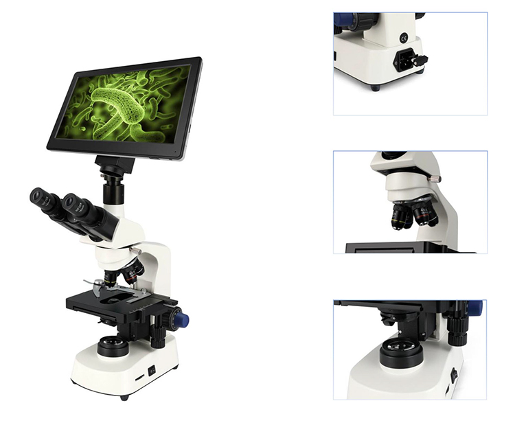 HC-B079A Günstiges Mikroskop,  – Medical Lab Microscope Bewertung und Preis