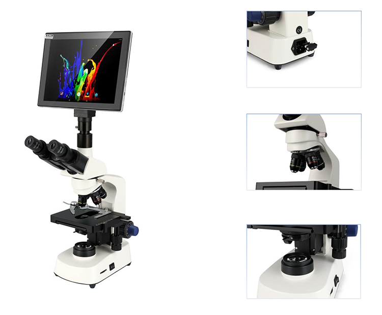 HC-B079A Günstiges Mikroskop,  – Medical Lab Microscope Bewertung und Preis